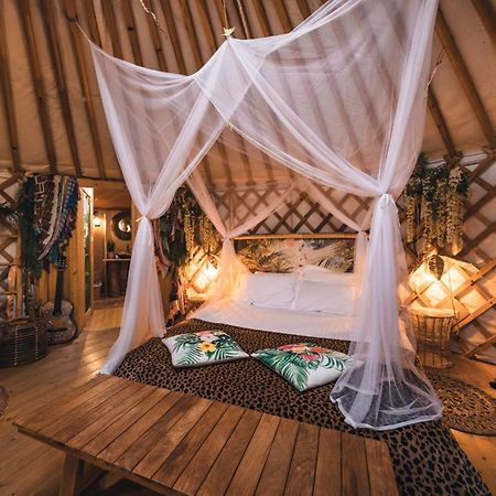 2 Cuori E 1 Yurta Glamping In Tuscany - Adults Only 阿夏诺 外观 照片
