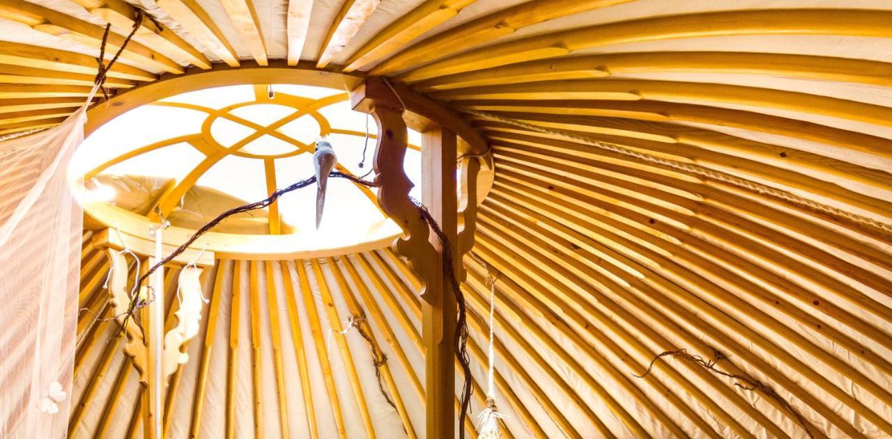 2 Cuori E 1 Yurta Glamping In Tuscany - Adults Only 阿夏诺 外观 照片