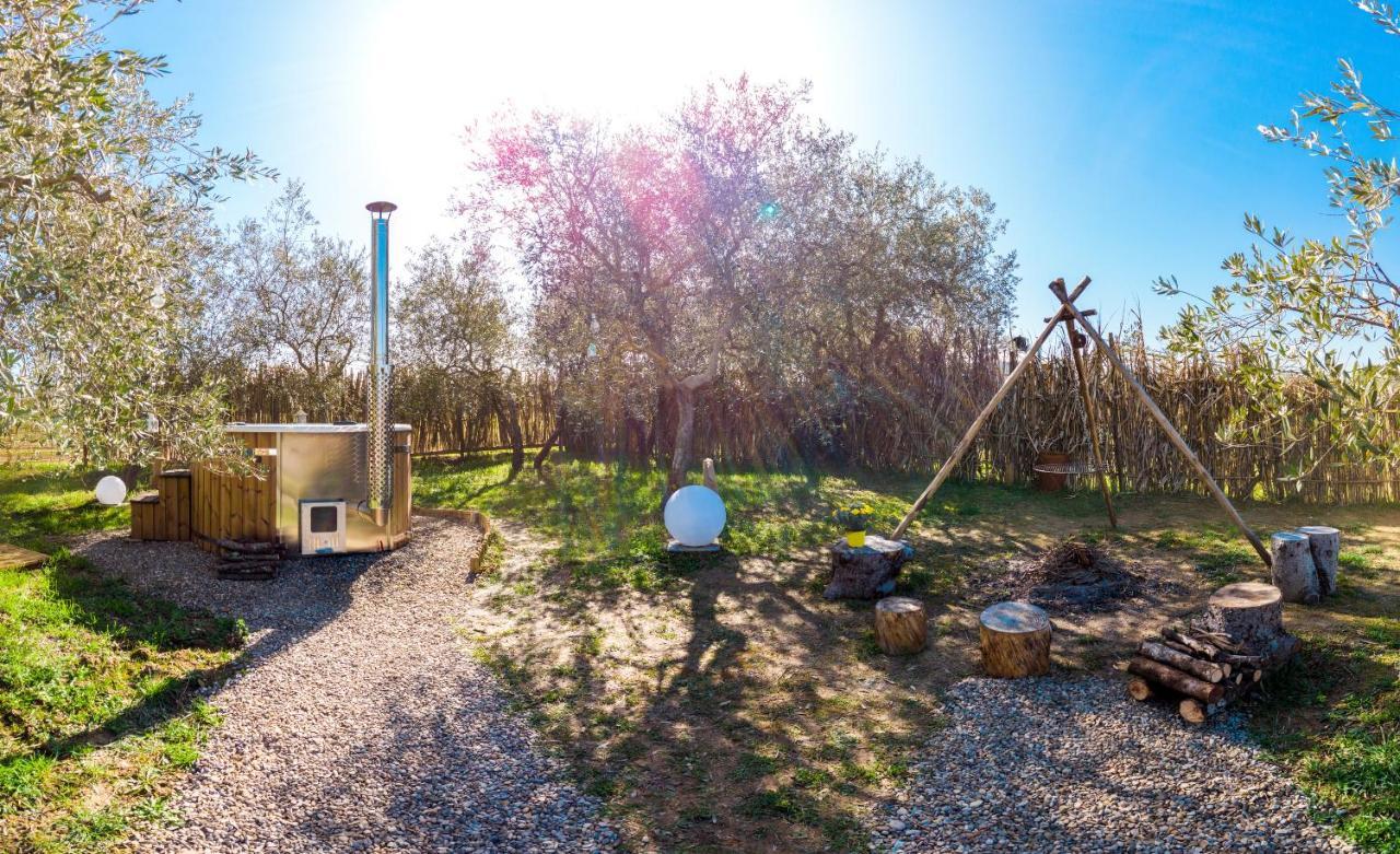 2 Cuori E 1 Yurta Glamping In Tuscany - Adults Only 阿夏诺 外观 照片