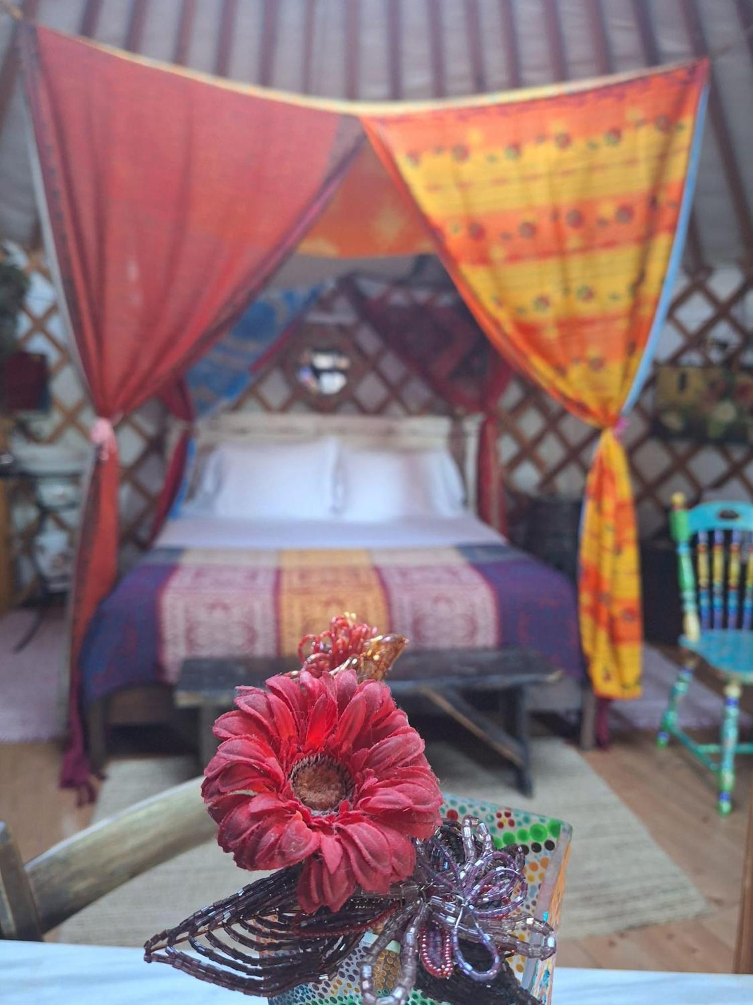 2 Cuori E 1 Yurta Glamping In Tuscany - Adults Only 阿夏诺 外观 照片